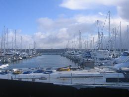 Bayswater Ferry