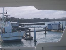 Bayswater Ferry