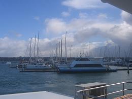 Bayswater Ferry