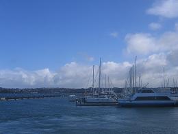 Bayswater Ferry