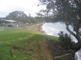 Bayswater Ferry