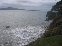 Bayswater Ferry