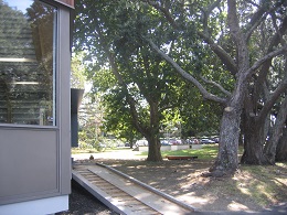 Devonport Library